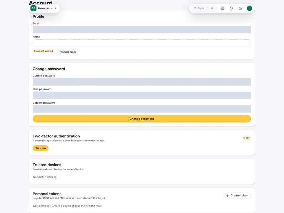 API and MCP settings